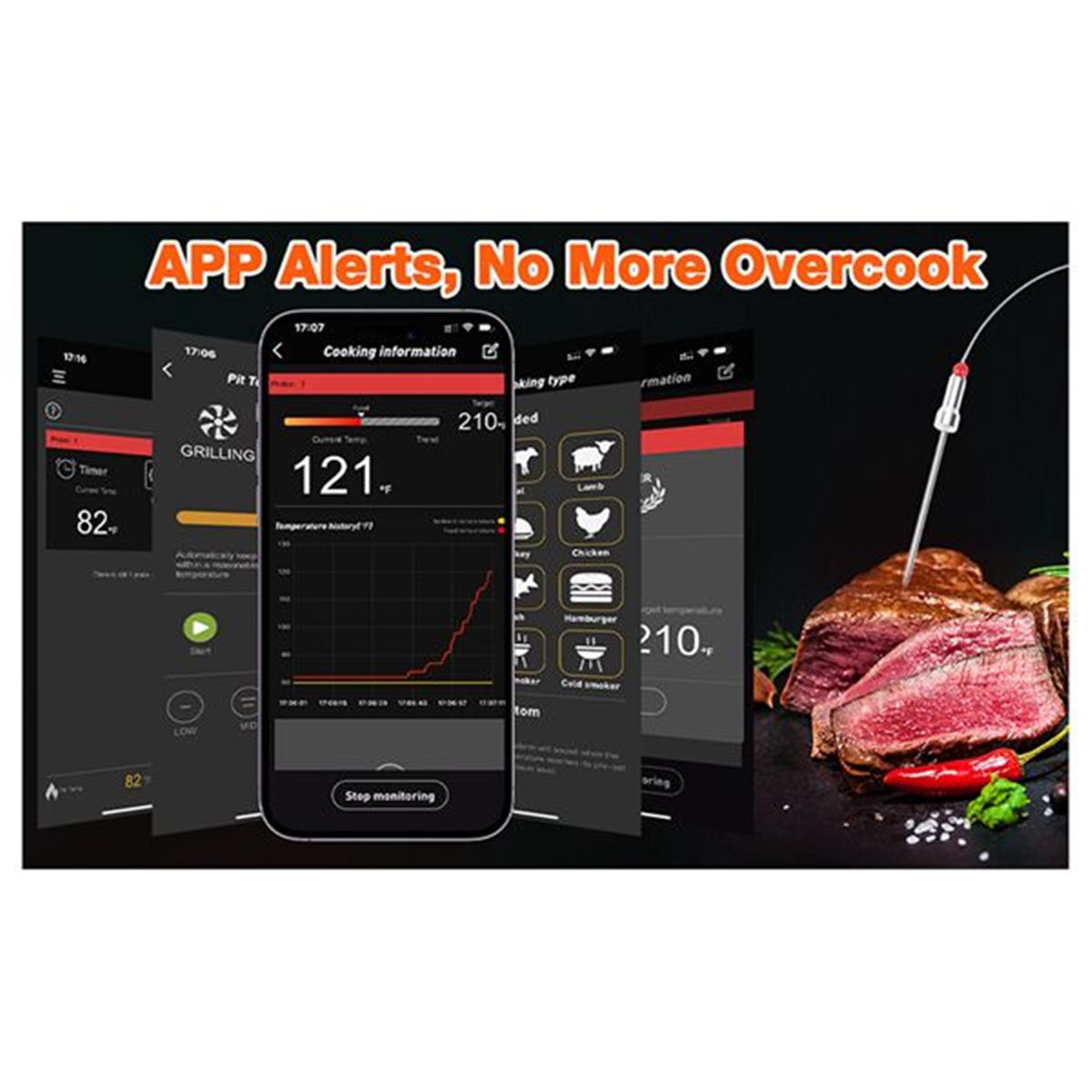 Electric Smoker Bbq - Контроллер температуры для гриля DT81 Bluetooth,